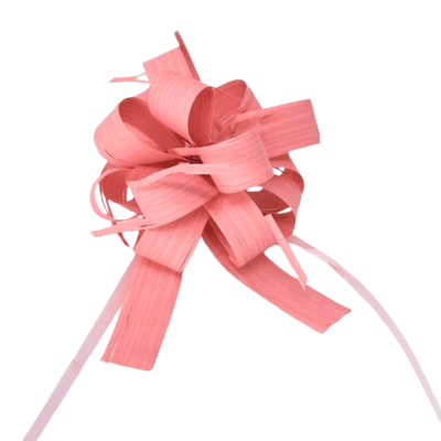 BOW COUNTRY B-PINK 17X95X50 (390550)