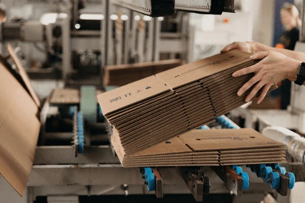 Corrugated Box