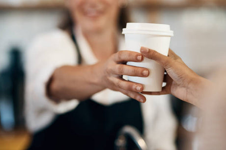 Disposable Cups & Lids
