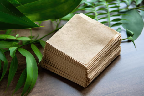 Eco Friendly Napkins