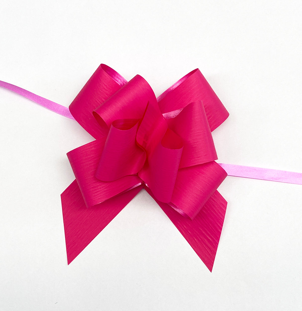 BOW BUTFLY MAGENTA X100(690496)(Z)