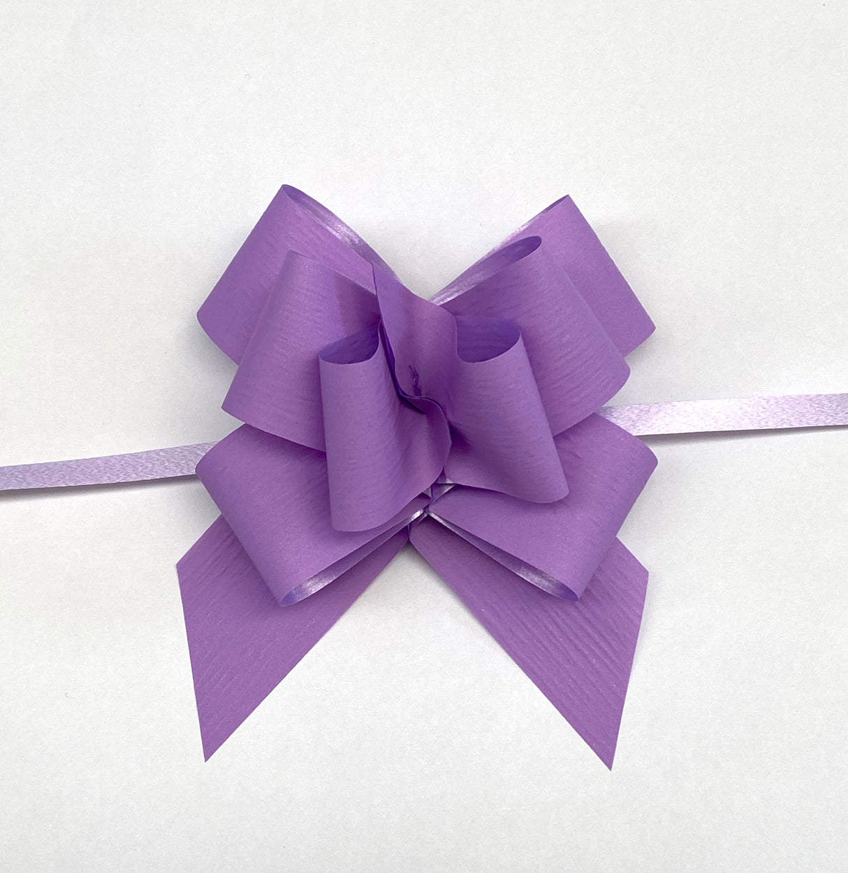 BOW BFLY LAVANDER X100(690497)(Z)