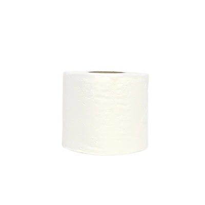 TOILET ROLL STANDARD 2PLY - 48 ROLLS