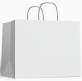 6501FS21 WHITE BAGS FP 22X26 X250(N)